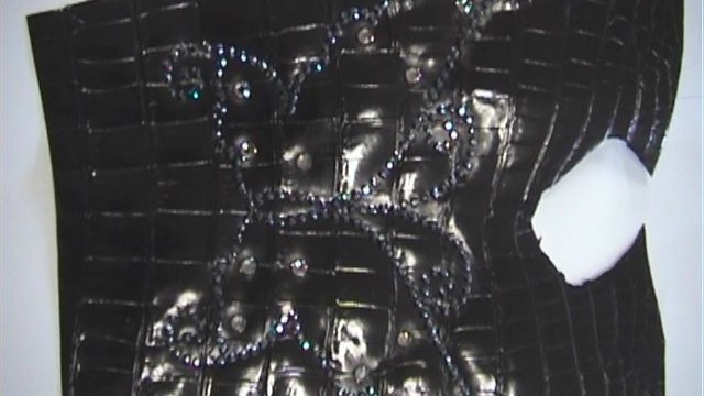 collection 2 strass butterfly on crocodile leather